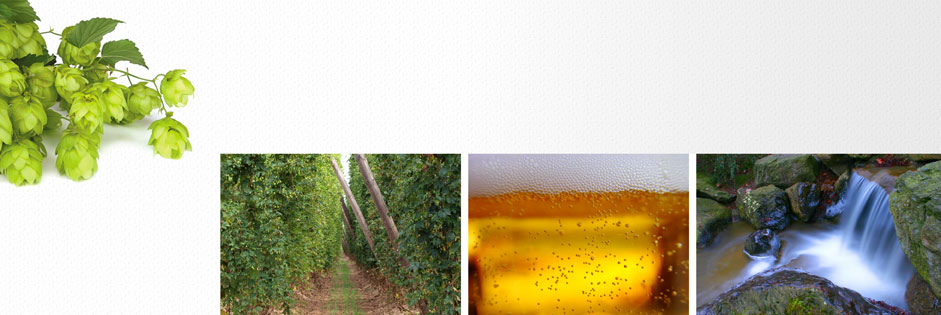 Hopfenanbau, Anschnitt eines mit Bier gefüllten Glases, Landschaft mit Wasserfall