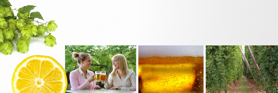 Freundinnen welche im Biergarten ein Bier trinken, Natur, Freude, Nahaufnahme eine Bierglases, Hopfenreihen