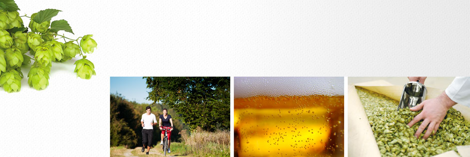 Qualitätskontrolle beim Hopfen, Natur, Sport in der Natur, Bier